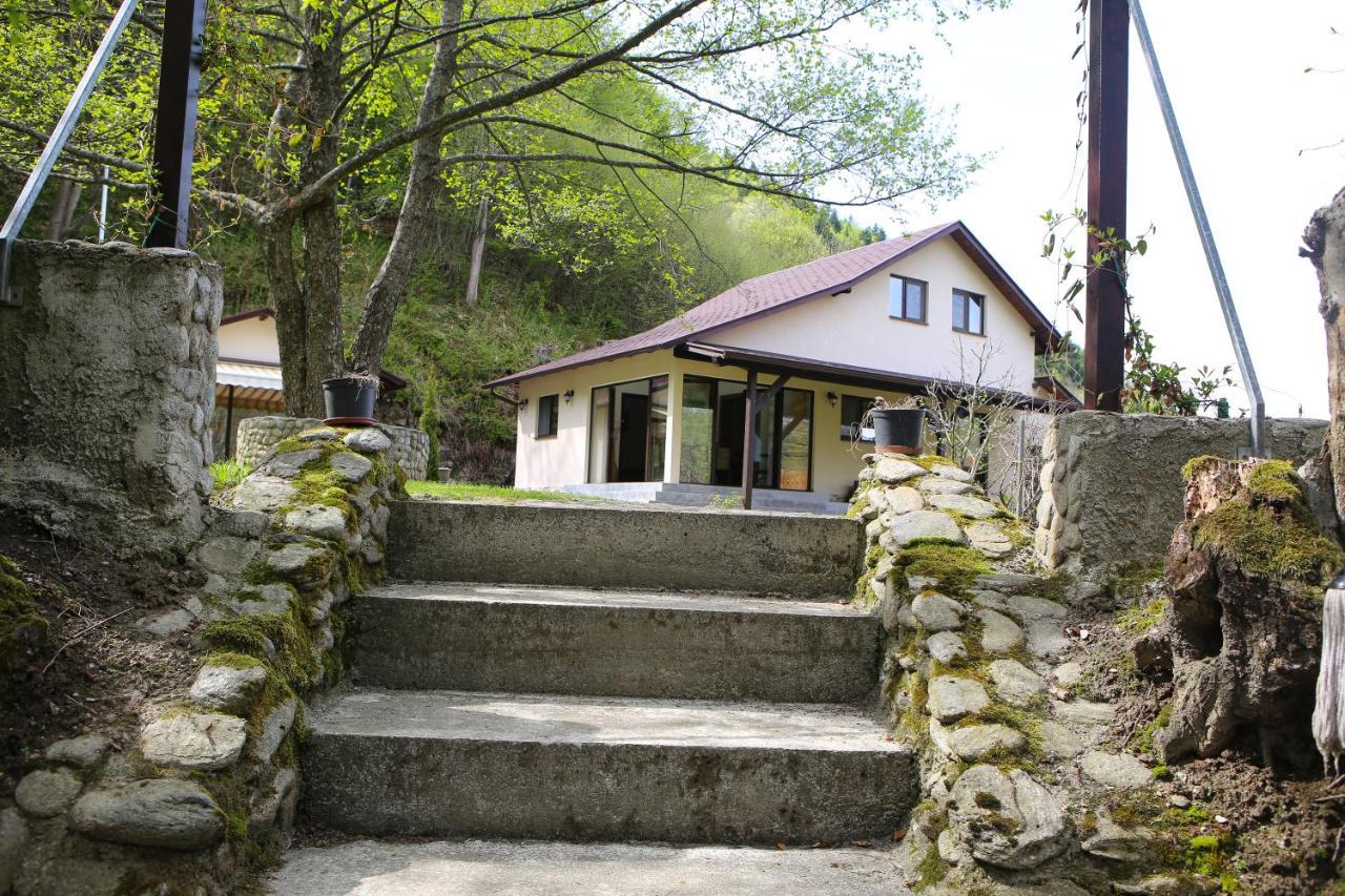 Pensiunea Tudor Breaza 外观 照片